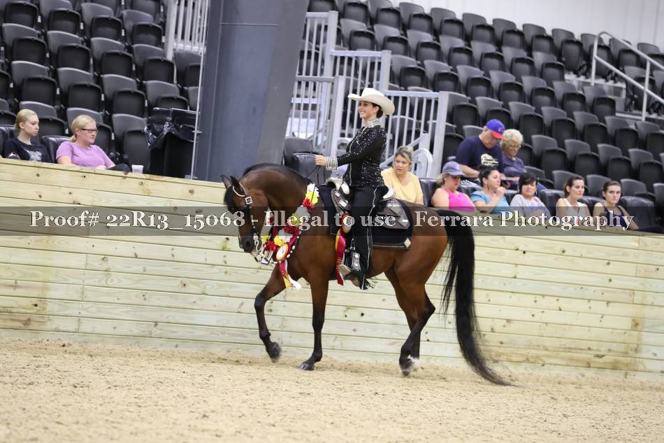 Proof 22R13_15068