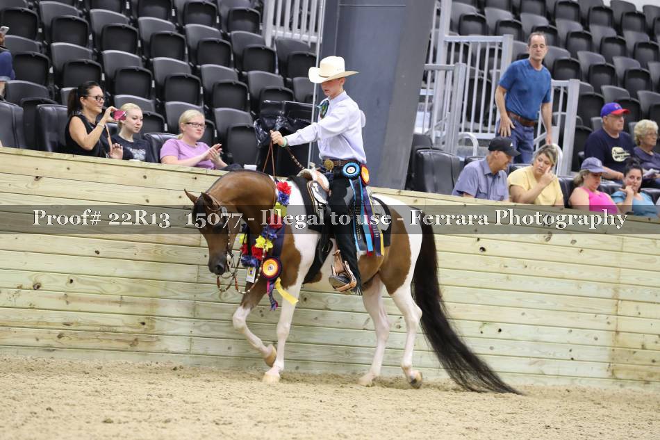 Proof 22R13_15077