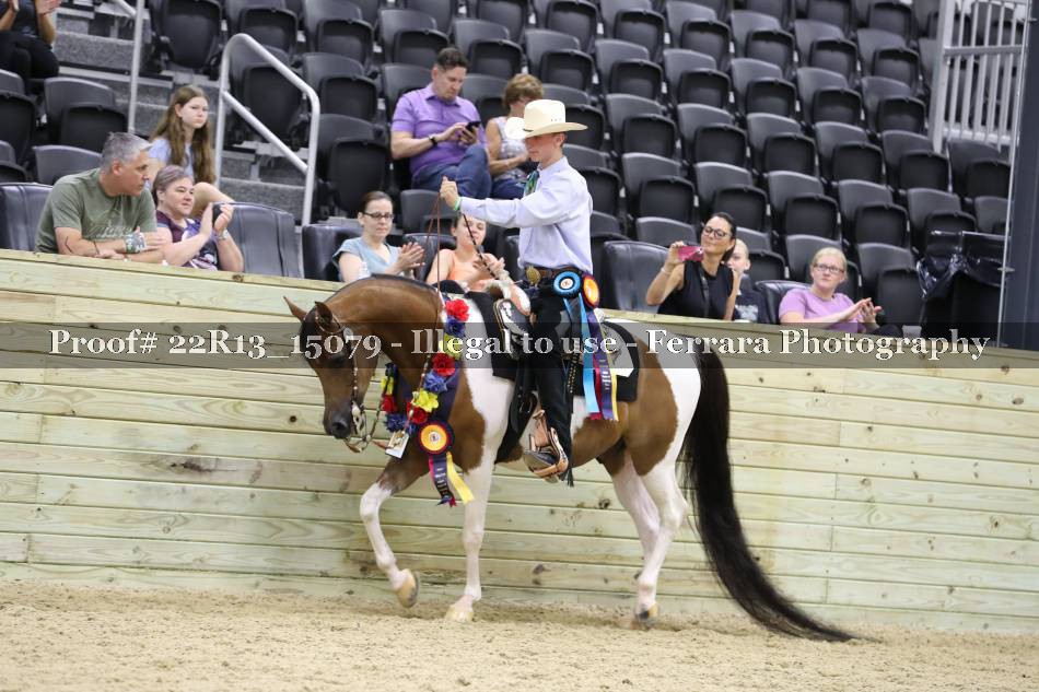 Proof 22R13_15079