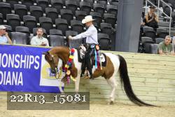 22R13_15081 proof