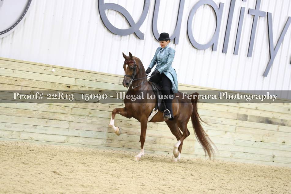 Proof 22R13_15090