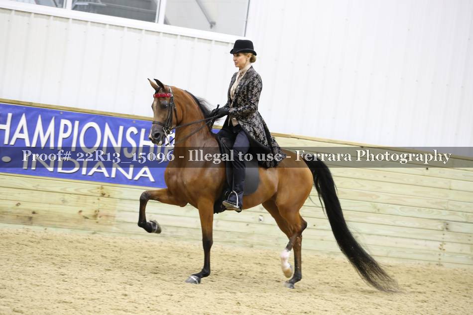 Proof 22R13_15096