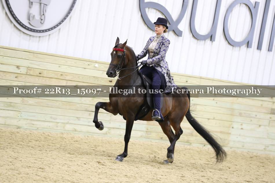 Proof 22R13_15097