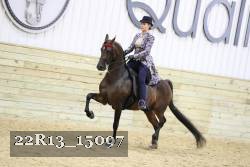 22R13_15097 proof