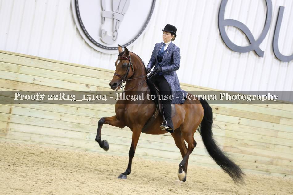 Proof 22R13_15104
