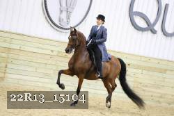 22R13_15104 proof
