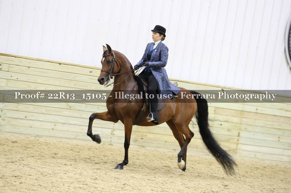 Proof 22R13_15105