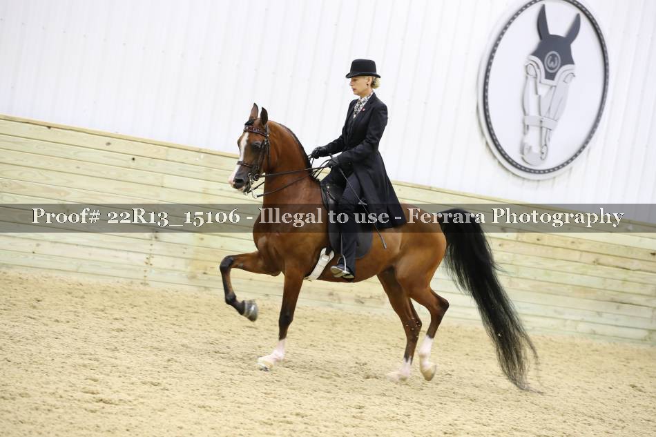 Proof 22R13_15106
