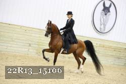 22R13_15106 proof
