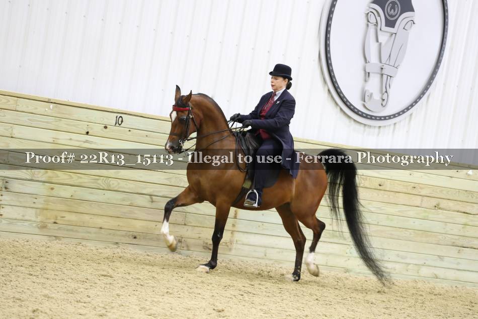 Proof 22R13_15113