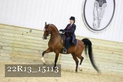 22R13_15113 proof