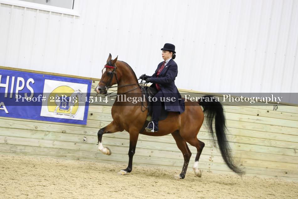 Proof 22R13_15114