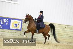 22R13_15114 proof