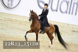 22R13_15120 proof