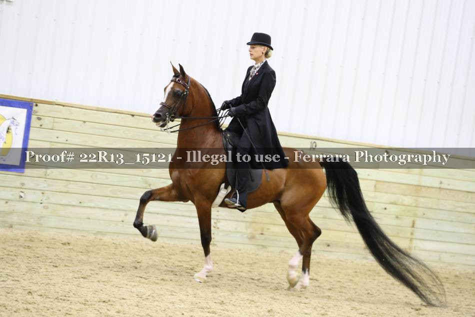 Proof 22R13_15121