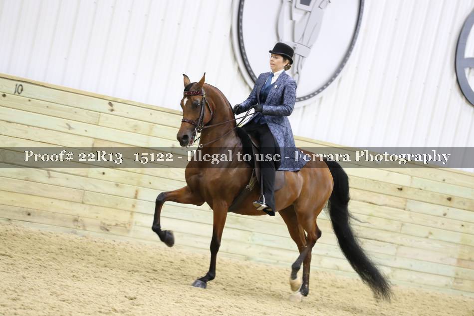 Proof 22R13_15122