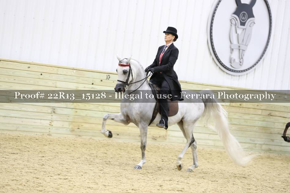 Proof 22R13_15128