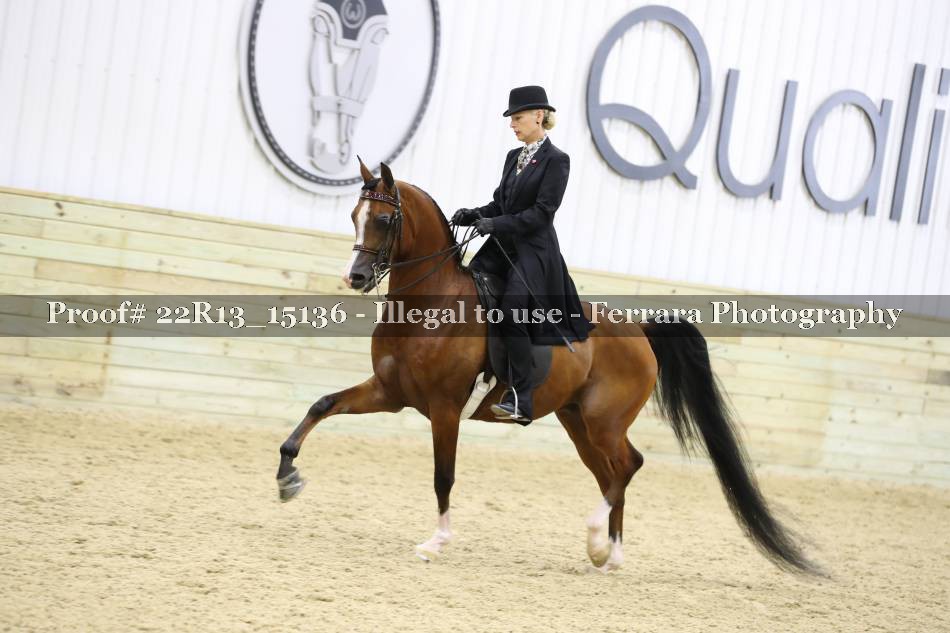 Proof 22R13_15136