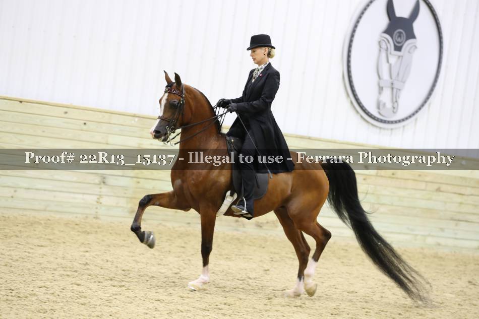 Proof 22R13_15137