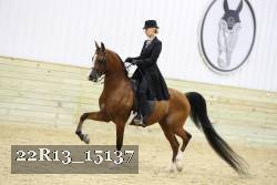 22R13_15137 proof
