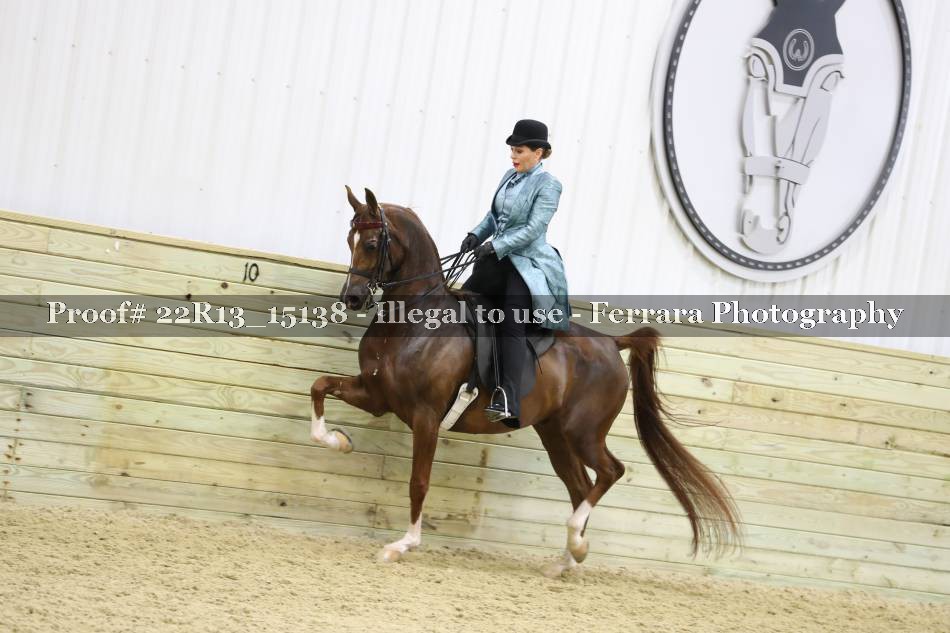 Proof 22R13_15138