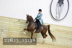 22R13_15138 proof