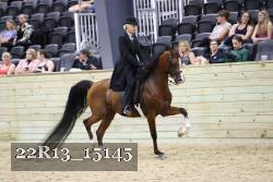 22R13_15145 proof