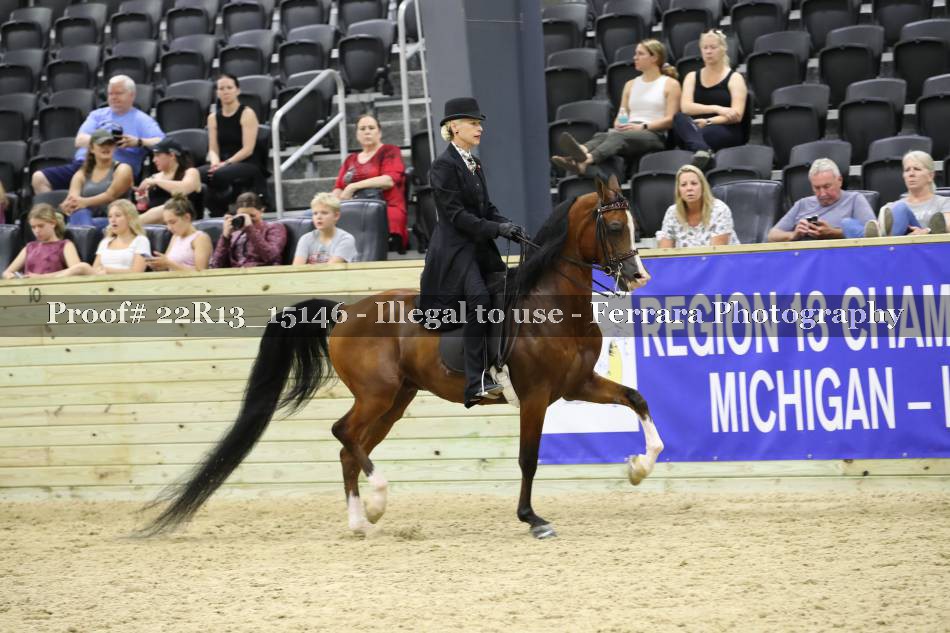 Proof 22R13_15146