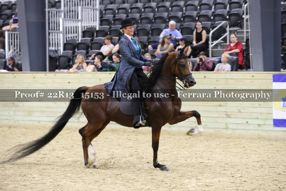 Proof 22R13_15153