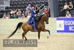 22R13_15154 proof