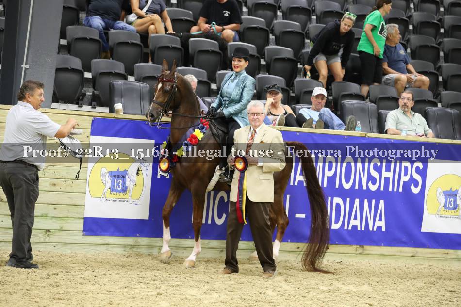 Proof 22R13_15169