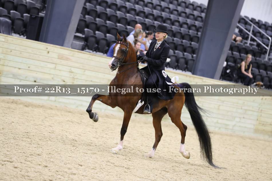 Proof 22R13_15170