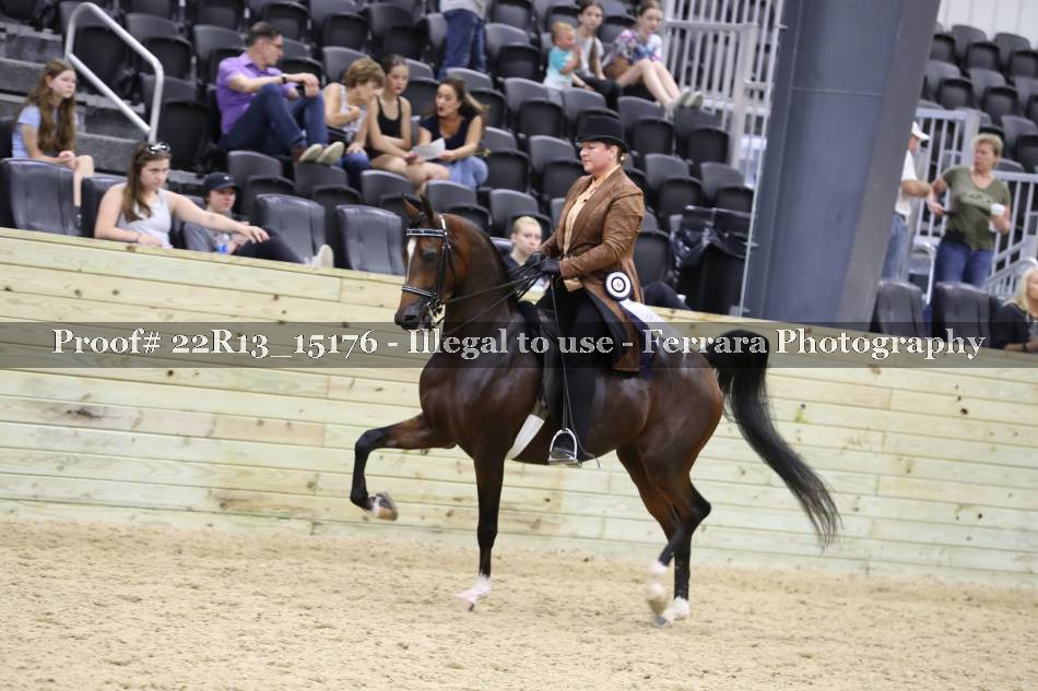 Proof 22R13_15176