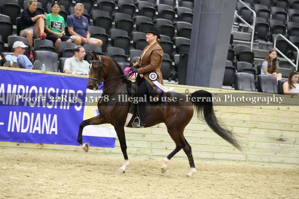 Proof 22R13_15178