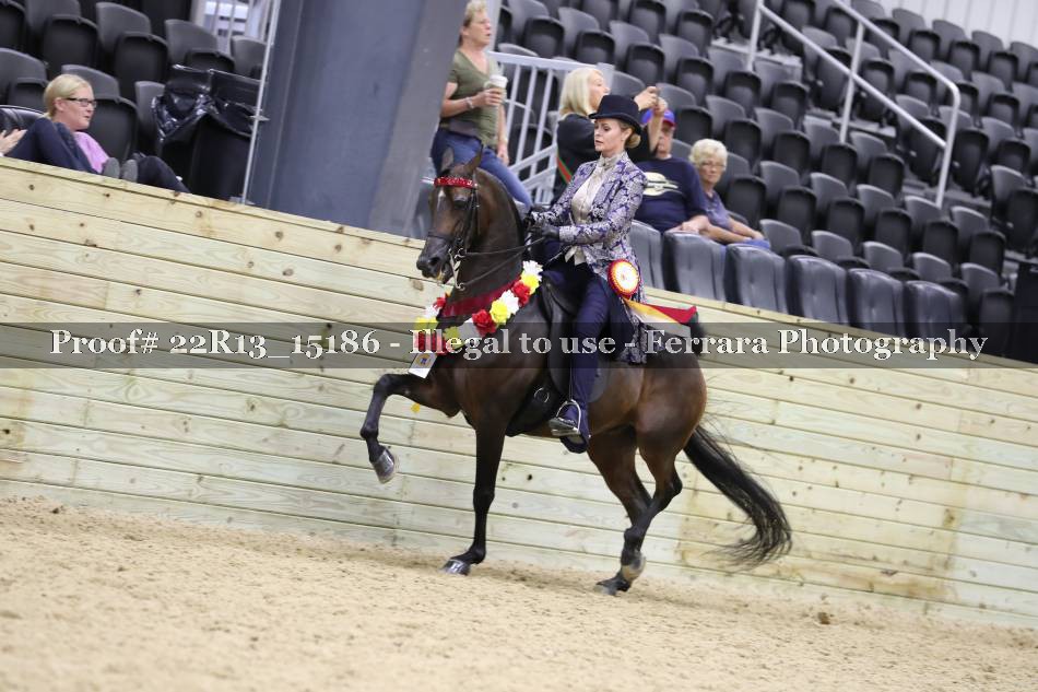 Proof 22R13_15186