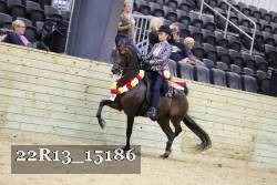 22R13_15186 proof