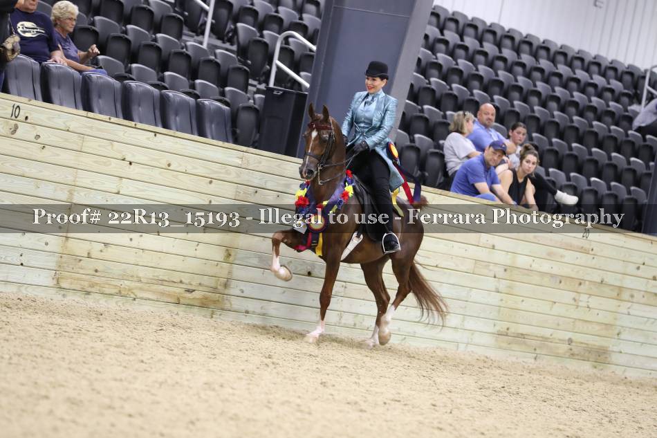 Proof 22R13_15193
