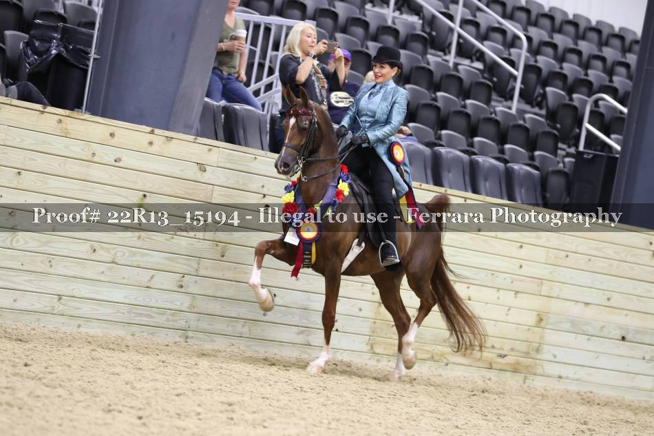 Proof 22R13_15194