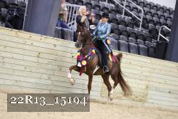 22R13_15194 proof
