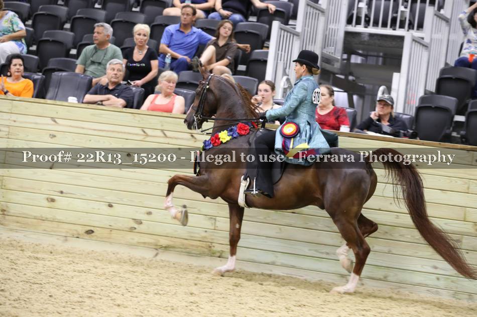 Proof 22R13_15200