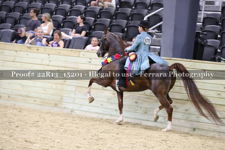 Proof 22R13_15201
