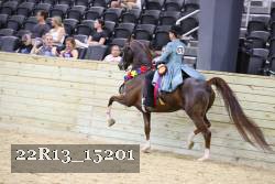 22R13_15201 proof