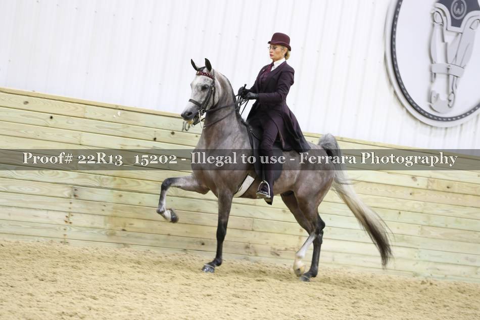 Proof 22R13_15202