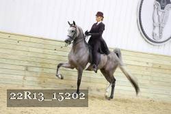 22R13_15202 proof