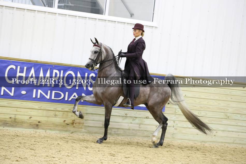 Proof 22R13_15203