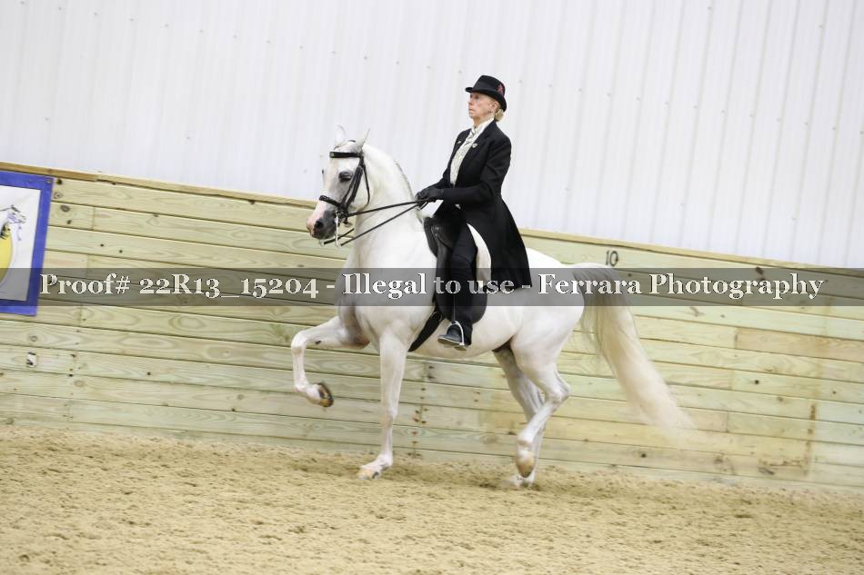 Proof 22R13_15204