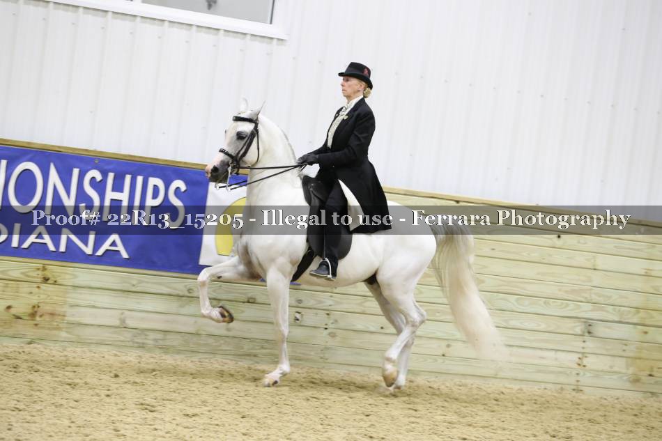 Proof 22R13_15205