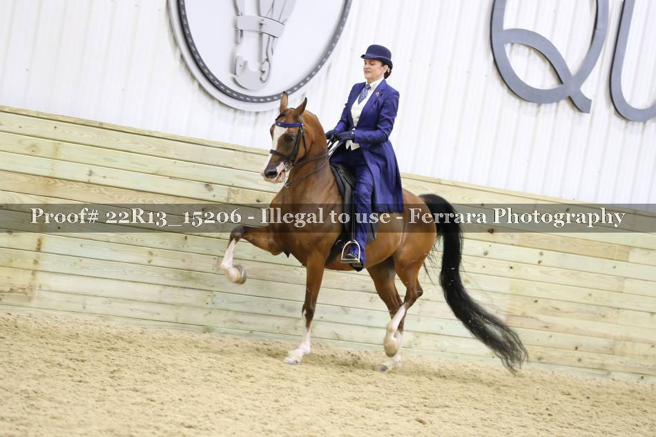 Proof 22R13_15206