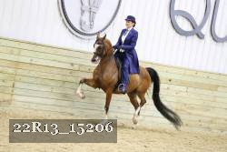 22R13_15206 proof