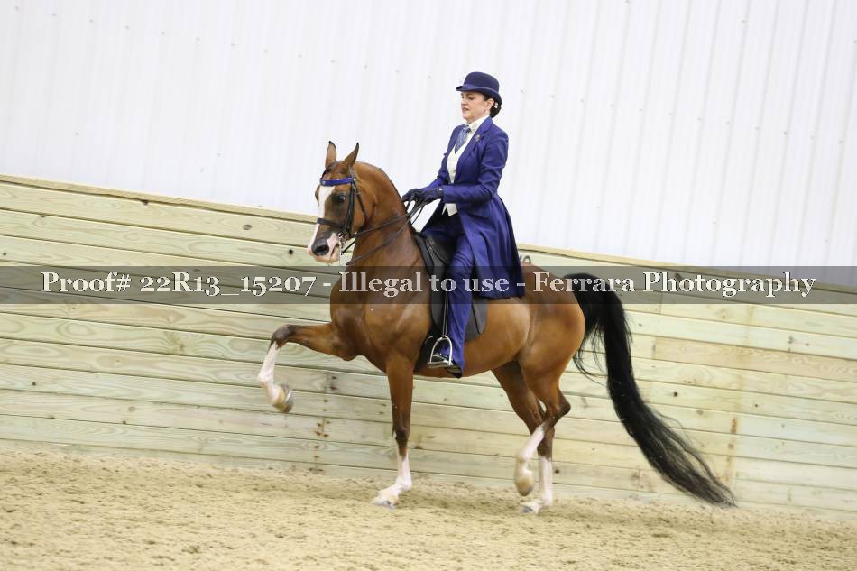 Proof 22R13_15207